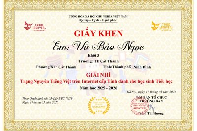 🌟 TỰ HÀO THÀNH TÍCH RỰC RỠ TẠI CUỘC THI TRẠNG NGUYÊN TIẾNG VIỆT CẤP TỈNH 🌟